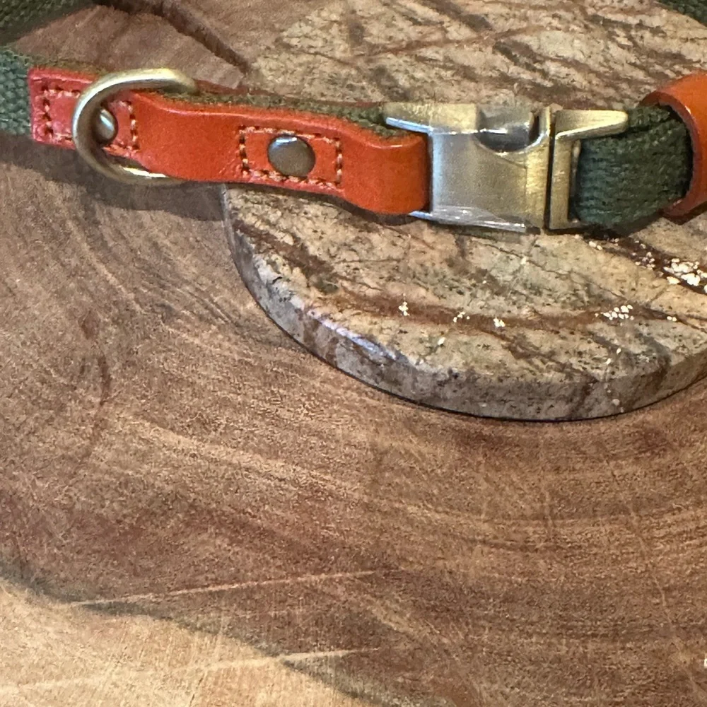 Ajustable Custom Dog Collar with Quick Release Buckle